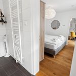 Awesome apartments in the heard of Bamberg