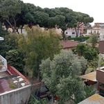 Affittasi Appartamento, Centro 500 mt dal mare appartamento in locazione stagionale - Annunci Ladispoli (Roma) - Rif.557762