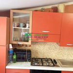 Rent 2 bedroom apartment of 40 m² in Ragusa