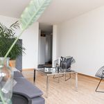Rent 1 bedroom apartment of 43 m² in Höganäs
