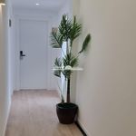 Rent 1 bedroom apartment in Nerja