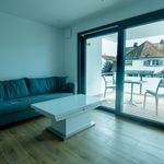 Miete 2 Schlafzimmer wohnung von 55 m² in Weil am Rhein