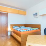 Rent 3 bedroom apartment of 86 m² in Praha