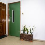 Rent 4 bedroom apartment of 83 m² in San Roque