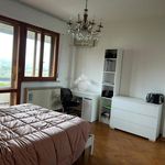 Rent 3 bedroom apartment of 100 m² in Perugia