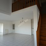 Rent 4 bedroom apartment of 135 m² in TOULOUSE
