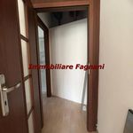 Affitto 1 camera casa di 40 m² in Velletri