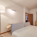 Rent 2 bedroom apartment of 110 m² in Firenze