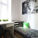 Rent 8 bedroom apartment in Lodz