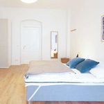 Rent a room of 75 m² in berlin