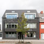 Rent 1 bedroom house of 62 m² in Hoogstraten