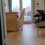 Rent 1 bedroom apartment of 25 m² in Montpellier