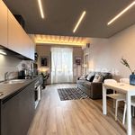 Rent 1 bedroom house of 55 m² in Siena