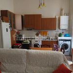 Rent 3 bedroom apartment of 79 m² in Bologna