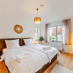 Rent 1 bedroom apartment of 62 m² in Dresden