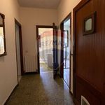 Rent 5 bedroom apartment of 95 m² in Bagni di Lucca