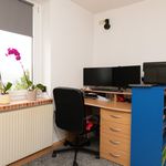 Rent 1 bedroom apartment of 57 m² in Bärenstein