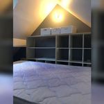 Rent 1 bedroom apartment in Tourcoing