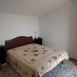Affitto 4 camera casa di 150 m² in Ladispoli