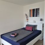 Miete 1 Schlafzimmer wohnung von 30 m² in Bad Kreuznach
