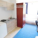 Rent 3 bedroom apartment of 34 m² in Plzeň