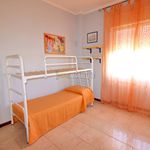 Rent 3 bedroom apartment of 90 m² in Ladispoli