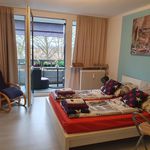 Rent 1 bedroom apartment of 27 m² in Landshut