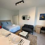 Rent 1 bedroom house of 24 m² in Rouen