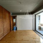 Ενοικίαση 3 υπνοδωμάτιο διαμέρισμα από 132 m² σε Kentro
