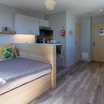 Rent 1 bedroom student apartment of 28 m² in Exeter