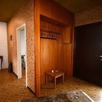 Rent 3 bedroom house of 2592 m² in Gooik