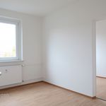 Rent 4 bedroom apartment of 66 m² in Cottbus