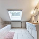 Rent 3 bedroom house of 227 m² in Houthalen-Helchteren