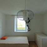 Rent 2 bedroom apartment of 64 m² in Luže