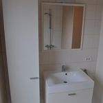 Rent 2 bedroom apartment in Opwijk