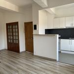 Rent 2 bedroom apartment of 38 m² in Mas-Saintes-Puelles