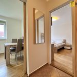 Rent 1 bedroom apartment of 29 m² in Lipno nad Vltavou