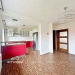 Rent 2 bedroom apartment of 50 m² in Holýšov