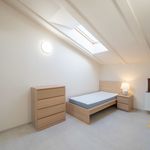Rent 6 bedroom apartment of 99 m² in Kraslice
