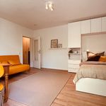 Rent 1 bedroom apartment of 33 m² in Leverkusen