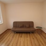 Rent 3 bedroom apartment of 67 m² in Horní Slavkov