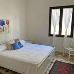 Rent 2 bedroom house of 73 m² in Marsala
