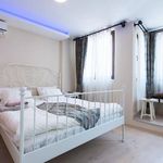 Rent 1 bedroom apartment of 40 m² in Kamer Hatun