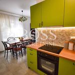 Rent 5 bedroom house of 200 m² in Hreljin