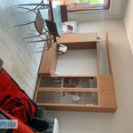 Rent 2 bedroom apartment of 48 m² in Silvi