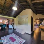 Rent 6 bedroom house of 1200 m² in Trevi