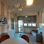 Rent 2 bedroom apartment of 36 m² in Empoli