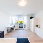 Rent 1 bedroom apartment of 18 m² in Nürnberg