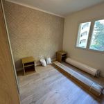 Rent 3 bedroom apartment of 59 m² in Unieux