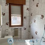 Rent 4 bedroom apartment of 120 m² in Padova